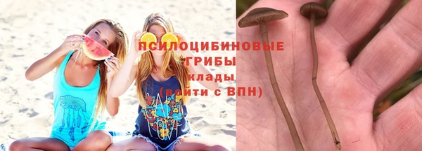 мдпв Беломорск