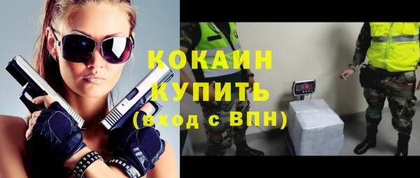 индика Белоозёрский